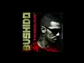Bushido feat. Shindy - Panamera Flow 1Hour