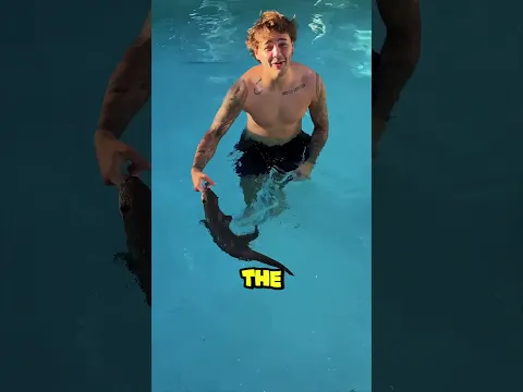 This OTTER Was Scared Of Water 😲