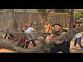 Download Lagu Pohon Tumbang Bikin Bimbang - Adit \u0026 Sopo Jarwo