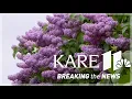 Hobby farm s lilac labyrinth survives Memorial Day storms
