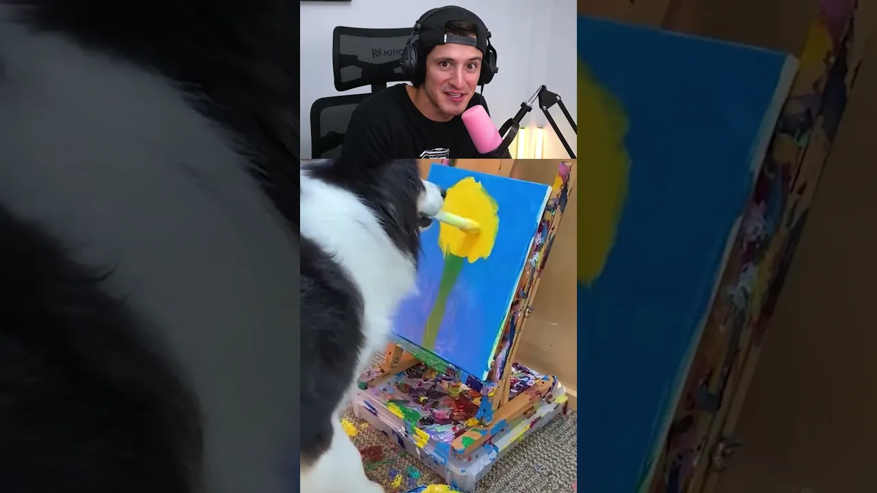 Perrito pintor 🐶🎨