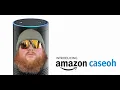 Introducing Amazon CaseOh