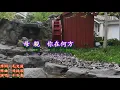 母親你在何方---千百惠