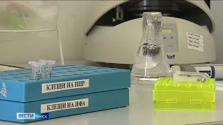 За три тёплых месяца клещи более шести тысяч раз покусали омичей
