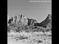 Unsolved Mysteries - Floris Boere