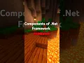 Components of the Dot NET Framework
