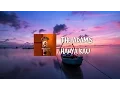 Download Lagu The Adams - Hanya Kau (Lirik)
