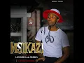 Msikazi Njengo Skhinkili