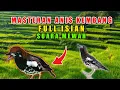 Download Lagu Masteran Anis Kembang full Isian Tembakan Durasi Panjang Suara Mewah Gacor Ngeplong Teler