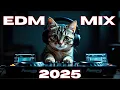 Download Lagu BEST EDM PARTY SONGS MIX 2025 | EDM CLUB HOUSE DANCE PARTY REMIXES OF POPULAR SONGS DJ MIXES 2025