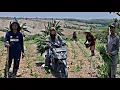 Download Lagu Sebuah Desa Kuno‼️Berkebun Di Tengah Hutan Pulau Jawa,Persiapan Kelola Kebun Jagung Berhektar-Hektar