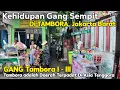 Download Lagu Kehidupan Di Gang Sempit di TAMBORA, JAKARTA BARAT | Suasana Gang Sempit di Pusat Kota Jakarta