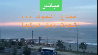 صراخ الحوت الأزرق وصل إلى تركيا وسوريا وليبيا دندنها