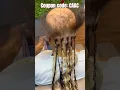 Trust Process How To Slick Boho Knotless Braids On Bald Head w Highlight Color Ft