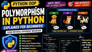 Python Polymorphism Explained for Beginners OOP in Python Made Easy