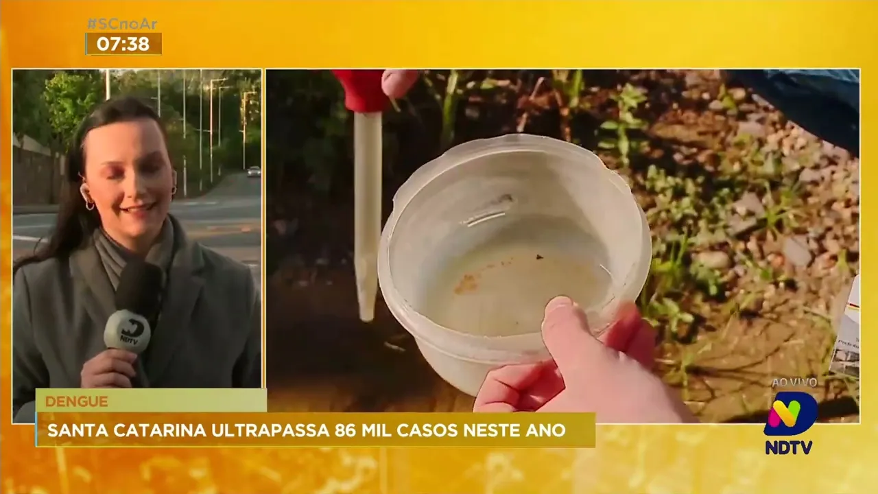 Gaspar registra primeiro caso de chikungunya e casos de dengue ainda é preocupante em SC