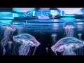 Steff Little - Set Me Free (2026) (4K Tunez UK)