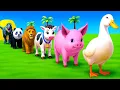 Long Slide Game With Elephant Gorilla Buffalo Hippopotamus Tiger - 3d Animal Game - Funny 3d Animals