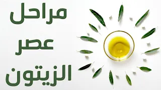 مراحل عصر الزيتون فيديو وثائقي مختصر 