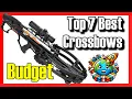 The 7 BEST BUDGET Crossbows on Amazon 2026 Value for Money cheap crossbow hunting
