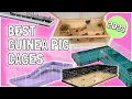 8 Best Guinea Pig Cages for 2025