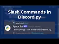 How to Make Slash Commands in Discord py Discord py is Back