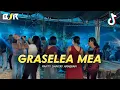 Download Lagu PARTY SANTAI GRASELEA MEA - SENTAK -_Papa Adung_- REMIX