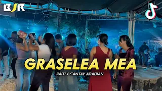 party santai graselea mea sentak papa adung remix