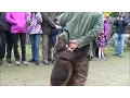 Wolverine Attacks Guide WITH CUDDLES