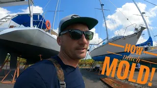 finally back after six months.. vlog #38