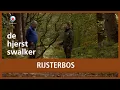 Lagu HJERSTSWALKER: Rijsterbos