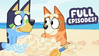🔴LIVE: Bluey is Playing Mermaids at the Beach 🏖️ 🧜‍♀️ | 8 HOURS of Full Episodes! 💙 | Bluey