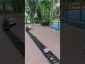 Download Lagu Drama Kereta Fenfa VS Miltank (Pokemon) @keretaapi2022 #short #keretaapi2022