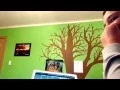 Percy Jackson quiz