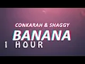 [1 HOUR 🕐 ] Conkarah, Shaggy - Banana DJ Fle Remix Banana Mini Siren