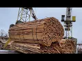 Lagu Extreme Load Collapse – Wild Wood Chips Burst.