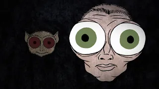  ทำไมผีเสื้อกลางคืนถึงมองเห็นดอกไม้ในคืนที่มีเพียงแสงดาวได้ 