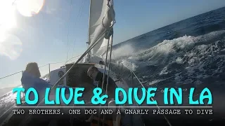 Two Brothers and a Black Lab Sailing to Catalina Island to Scuba Dive