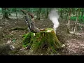 Download Lagu Building a MOST secret SHELTER in the STUMP of a very OLD OAK tree | Bushcraft | Survival