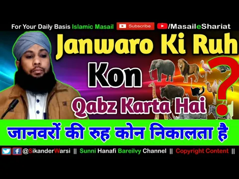 Sikander Warsi About Janwar Ki Rooh Kaun Nikalta Hai | जानवरो की रूह कौन क़ब्ज़ करता है