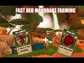 Red Mandrake Farming Guide SUPER FAST W101