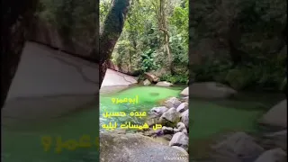 طارق الشيخ  من زمان وانا صابر على الايام  أبوعمرو دندنها