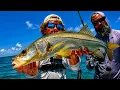 Non-Stop Action Fishing in Naples Florida So Many Species