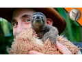 Cutest Baby Sloth EVER