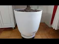 I Found a 20 Inch Planter For 30 White Self Watering Plant Pot Looks Expensive