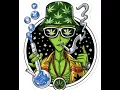 JUNGLE BOYS Z Berry strain review