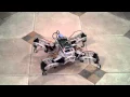 e5 - Quadruped robot ripple gait