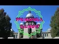 THINGS TO DO SPRINGFIELD ILLINOIS USA TRAVEL VLOG
