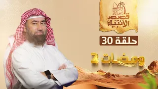 نبيل العوضي ومضات 2 من قصص الأنبياء 