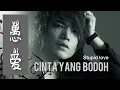 Download Lagu 愚爱 - Yu Ai - Huan Zi - 欢子 - Cinta Yang Bodoh - Stupid Love - Lagu Mandarin Subtitle Indonesia